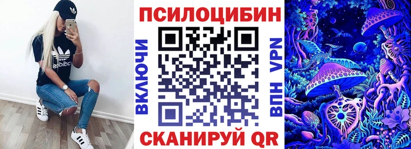 купить наркотик  Пролетарск  Псилоцибиновые грибы мухоморы 